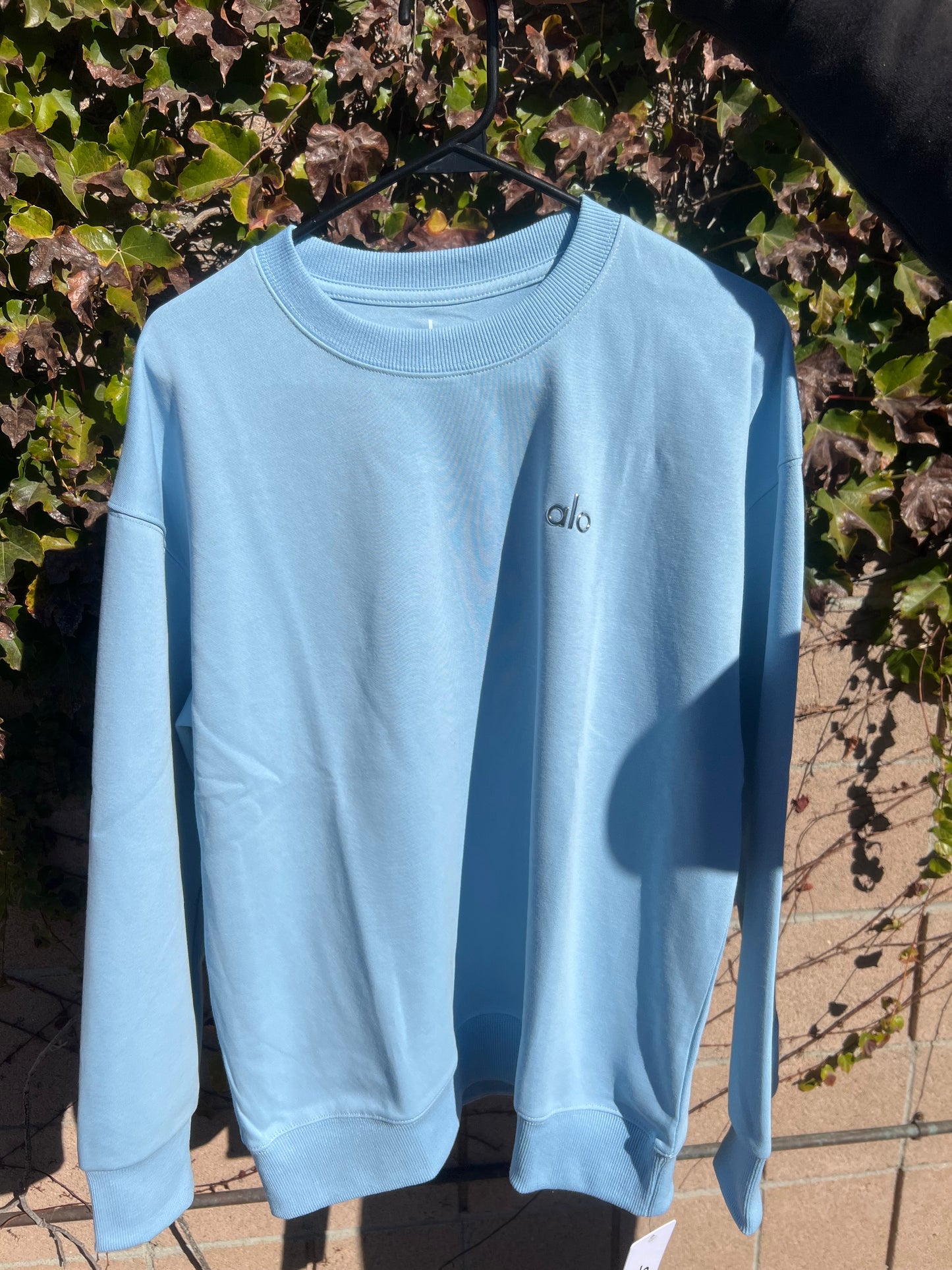 Alo sky blue sweater